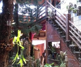 Sea Villa Homestay